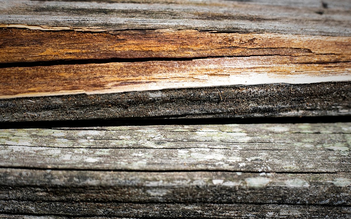 Reclaimed Pallet Timber
